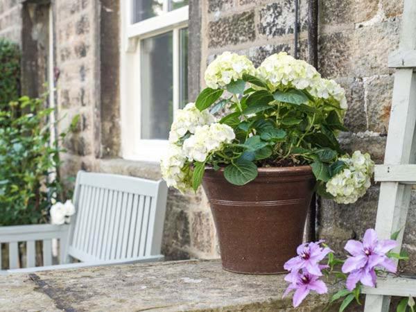 Beacon Cottage Ilkley Buitenkant foto